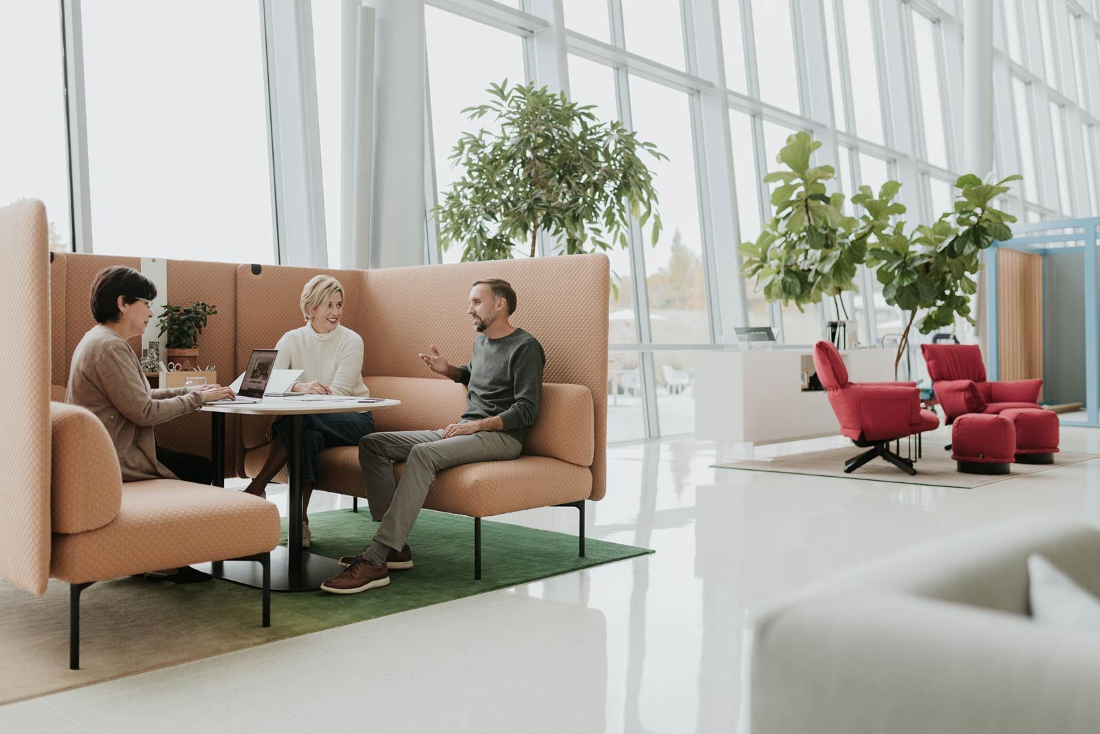 workers in a space with natural sunlight
