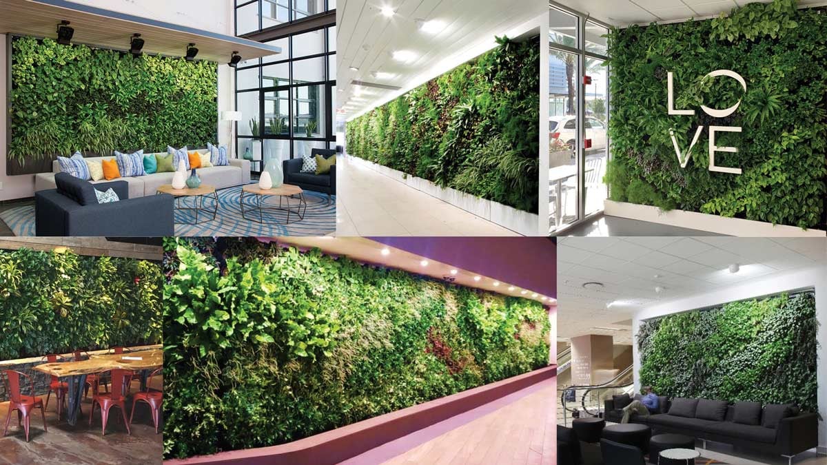 greenwalls-platform-ceros