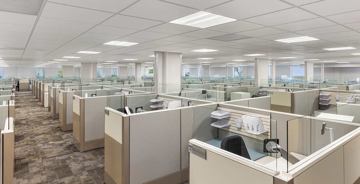 image-Mar-03-2026-07-29-19-6072-PM