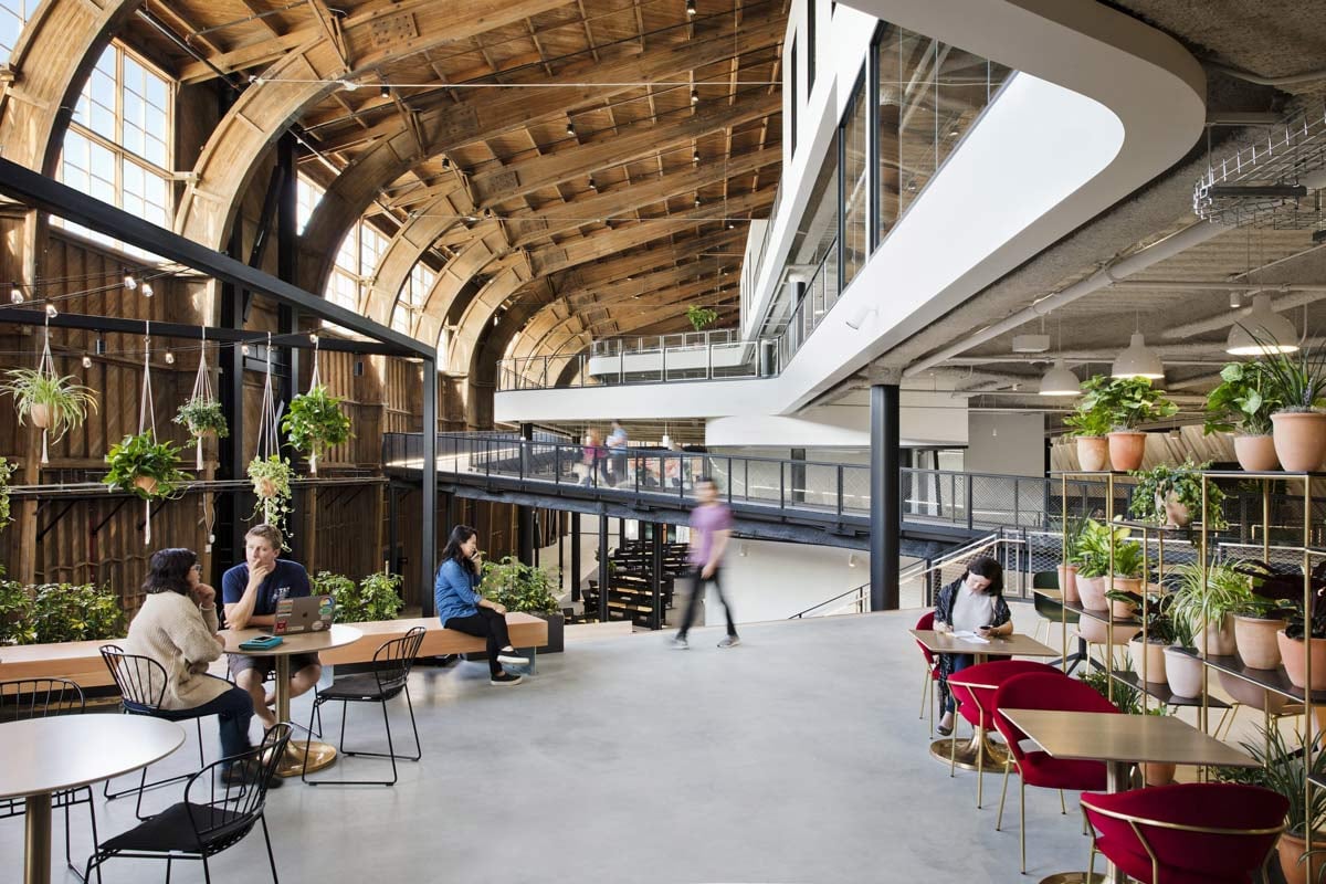 workplace design using biophilia